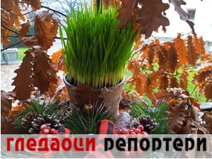 Гледаоци репортери (8. јануар 2022)