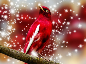 Новогодишње Гласне жице