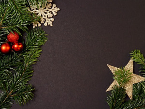 Новогодишња Чаролија - 2. део