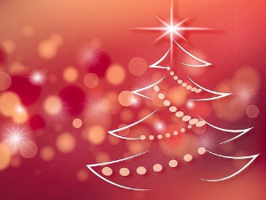 Новогодишња Чаролија, р. 