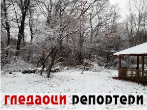 Гледаоци репортери (11. јануар 2022)