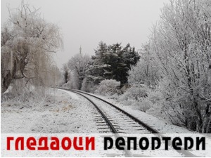 Гледаоци репортери (12. јануар 2022)