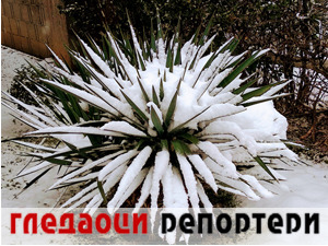 Гледаоци репортери (13. јануар 2022)