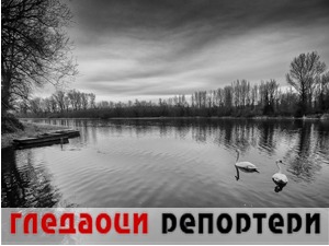 Гледаоци репортери (14. јануар 2022)