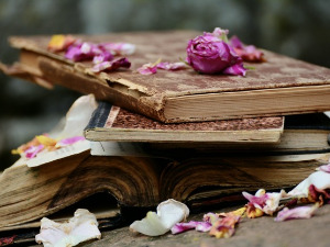 	Претпоноћни тренуци - Песме Еве Липске - Вјера Јокић 