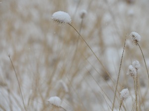 Ујутру мраз и магла, током дана претежно ведро - од понедељка промена времена