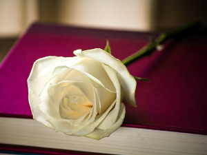  Претпоноћни тренуци - Песма Све девојке треба да путују - Вјера Јокић 