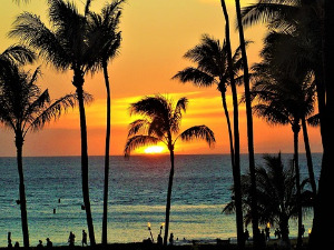 	Компас - Хаваји