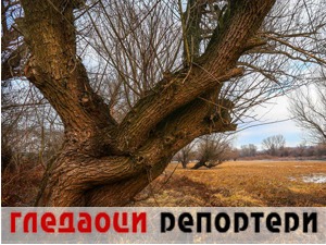 Гледаоци репортери (22. јануар 2022)