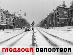 Гледаоци репортери (25. јануар 2022)