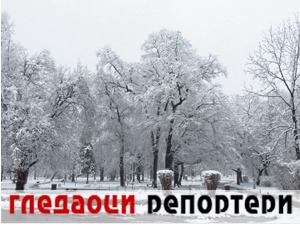 Гледаоци репортери (5. фебруар 2022)