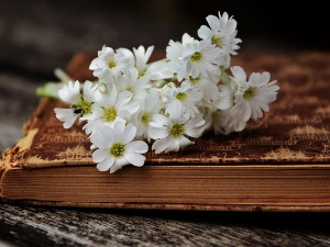 	Претпоноћни тренуци - Песме Флорике Штефана - Милена Шишкин 