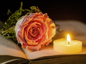 	Претпоноћни тренуци - Песме Хавијера Виљаутија - Милош Жутић 