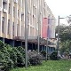 Одређен притвор осумњиченом за убиство уличног свирача у Новом Саду