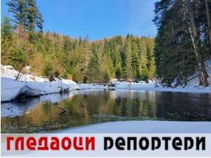 Гледаоци репортери (15. фебруар 2022)