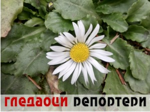 Гледаоци репортери (18. фебруар 2022)