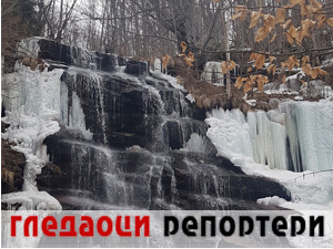 Гледаоци репортери (20. фебруар 2022)