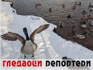 Гледаоци репортери (21. фебруар 2022)