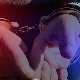 Хапшење у Крагујевцу због сумње на утају пореза, оштетили буџет за више од 30 милиона динара