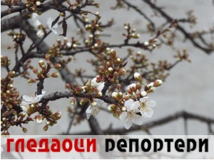 Гледаоци репортери (3. март 2022)