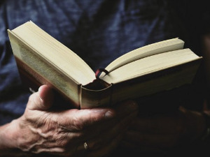 	Претпоноћни тренуци - Песме Петра Андреевског - Драган Петровић  