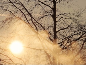 Ујутру слаб мраз, током дана облачно уз слабу кишу