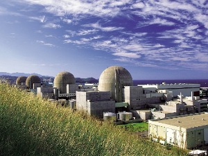 Јужна Кореја, шумски пожар прети нуклеарној електрани