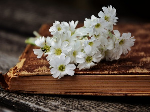 	Претпоноћни тренуци - Песме Чарлса Симића - Милан Кнежевић 