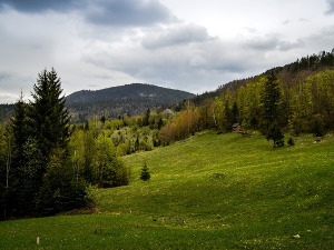 	Компас - Србија