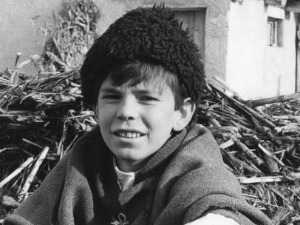 Заводљива телевизија - Креатори серија: Салаш у Малом Риту