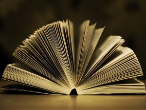 Претпоноћни тренуци - Песме Јована Николића - Миладин Манојловић