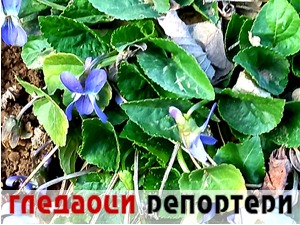 Гледаоци репортери (20. март 2022)