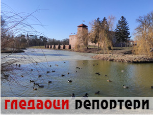 Гледаоци репортери (24. март 2022)