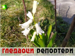 Гледаоци репортери (25. март 2022)