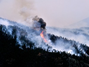 Шумски пожар у Kолораду, 1.200 људи мора да се евакуише