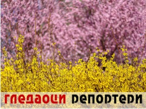 Гледаоци репортери (29. март 2022)