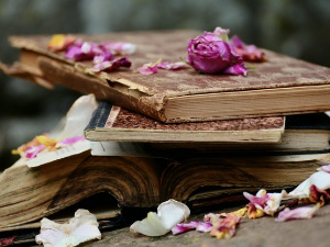 	Претпоноћни тренуци - Песма Море Душана Матића - Бранко Вујовић 