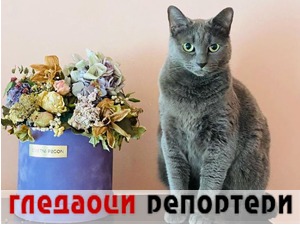 Гледаоци репортери (1. април 2022)