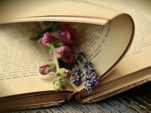 	Претпоноћни тренуци - Песме Мирјане Вукмировић - Снежана Никшић  