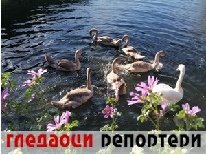 Гледаоци репортери (6. април 2022)