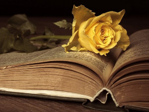 Претпоноћни тренуци - Стихови индијског песника Видја Патија - Снежана Никшић и Бранко Вујовић 