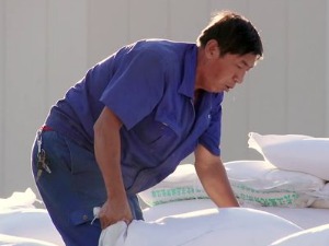 Очаравајући Пекинг