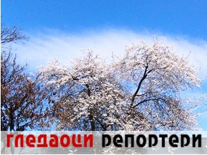 Гледаоци репортери (7. април 2022)