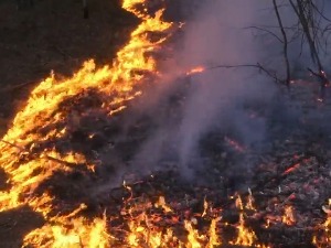 Пожар код Краљева локализован, људи и куће нису били угрожени