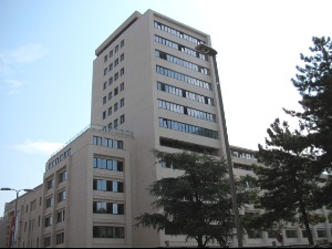 Маркановићева негирала оптужбе за надрилекарство, бавила се козметиком