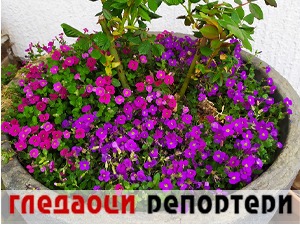 Гледаоци репортери (8. април 2022)