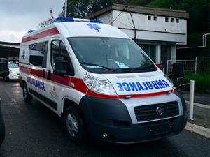 Чопор паса изуједао девојчицу у Прешеву