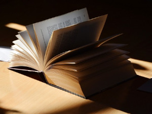 	Претпоноћни тренуци - Песме америчких црнаца - Јован Милићевић, Босиљка Боци... 