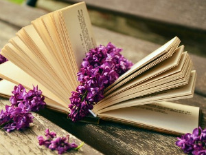 	Претпоноћни тренуци - Стихови, Ацо Шопов - Петар Банићевић 