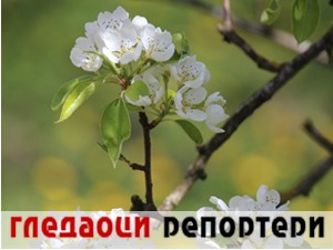 Гледаоци репортери (18. април 2022)